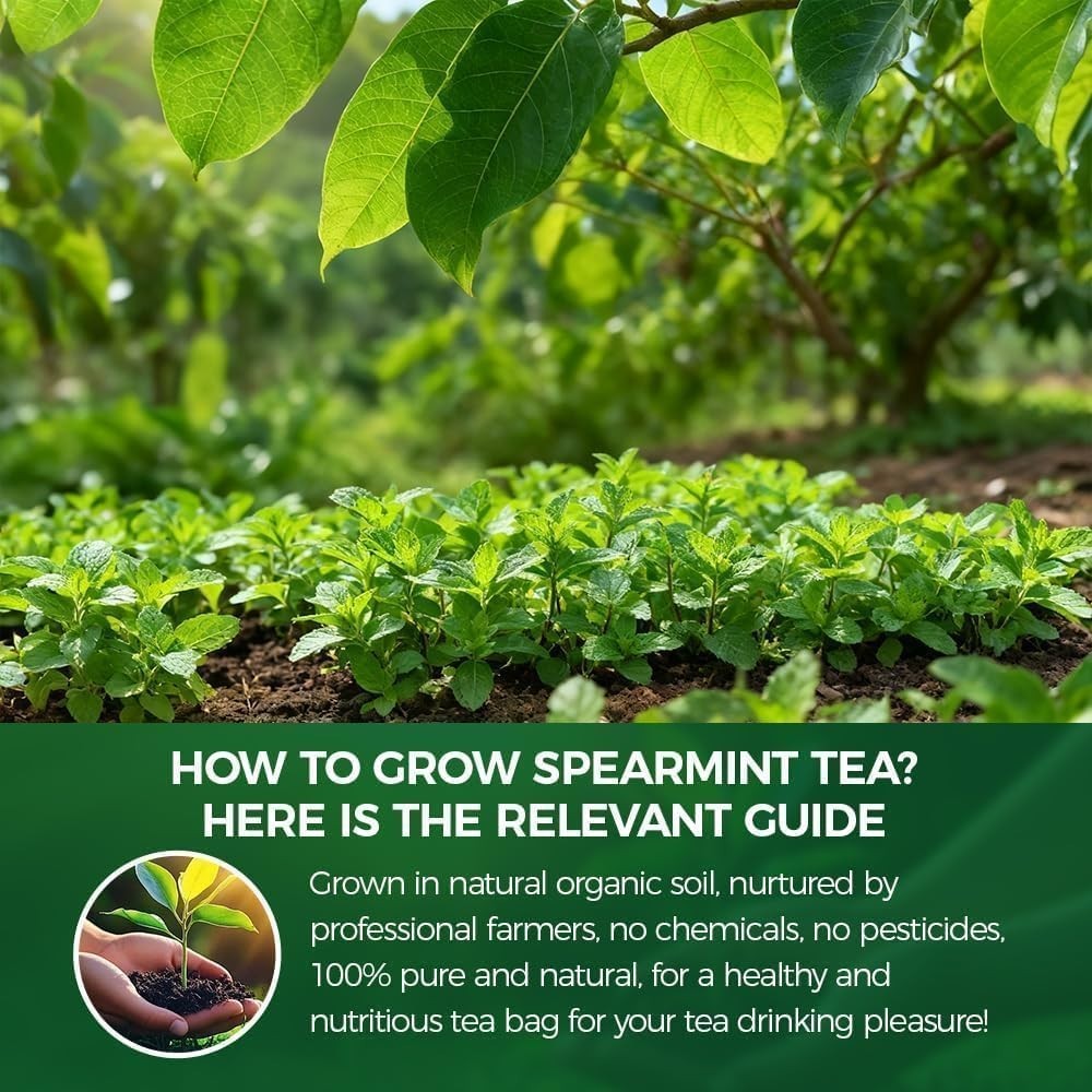 Caffeine-Free Organic Spearmint Tea Bags – 80 Count for Refreshing Wellness