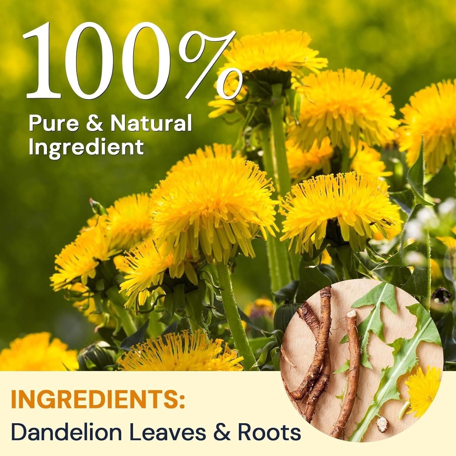 – Dandelion Leaf & Root Tea Bags, 50 Teabags – Natural Dandelion Herbal Tea for