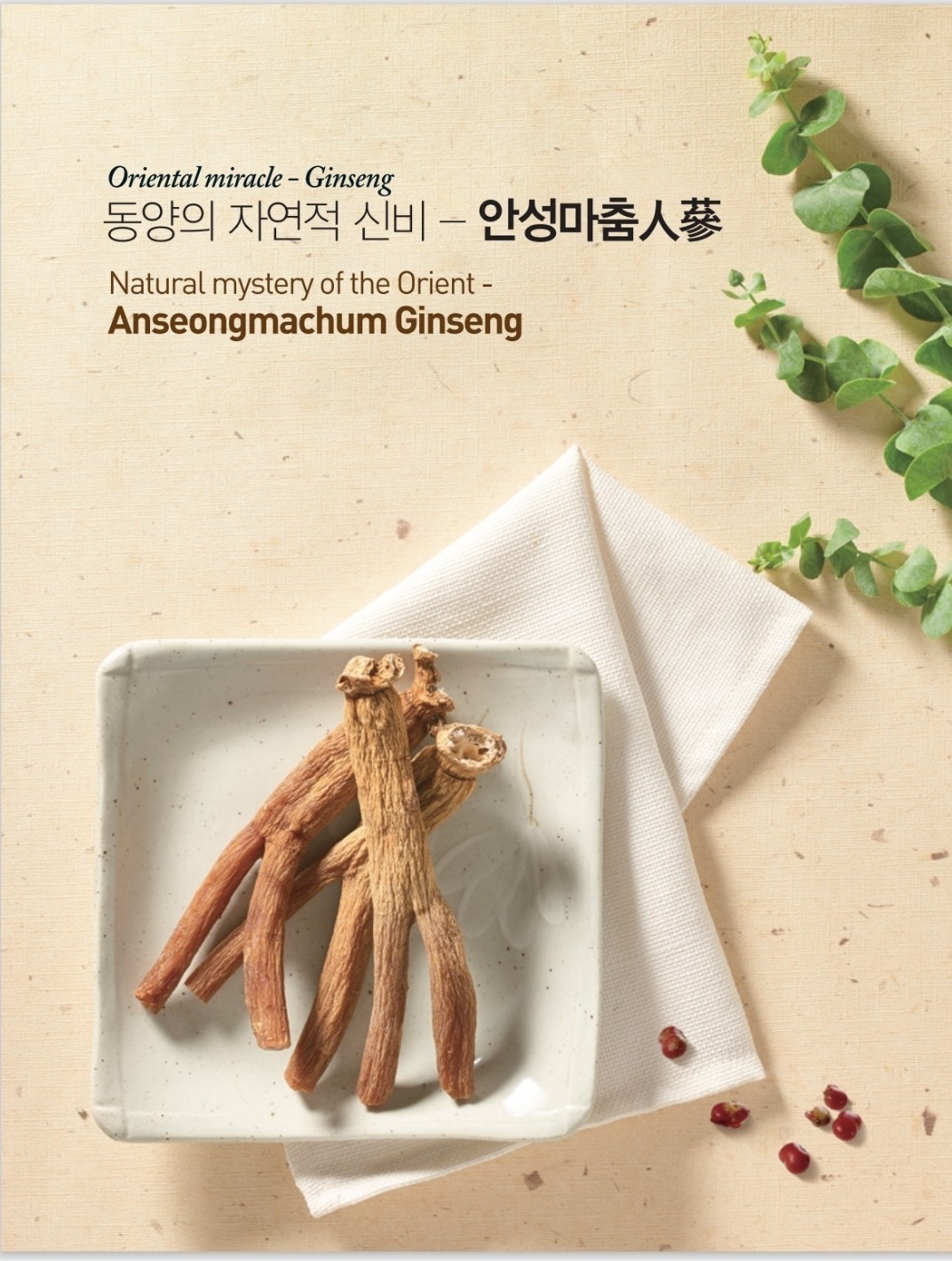 [An Seong Nonghyup] Korean 6 Years Red Ginseng Slices 20g × 10