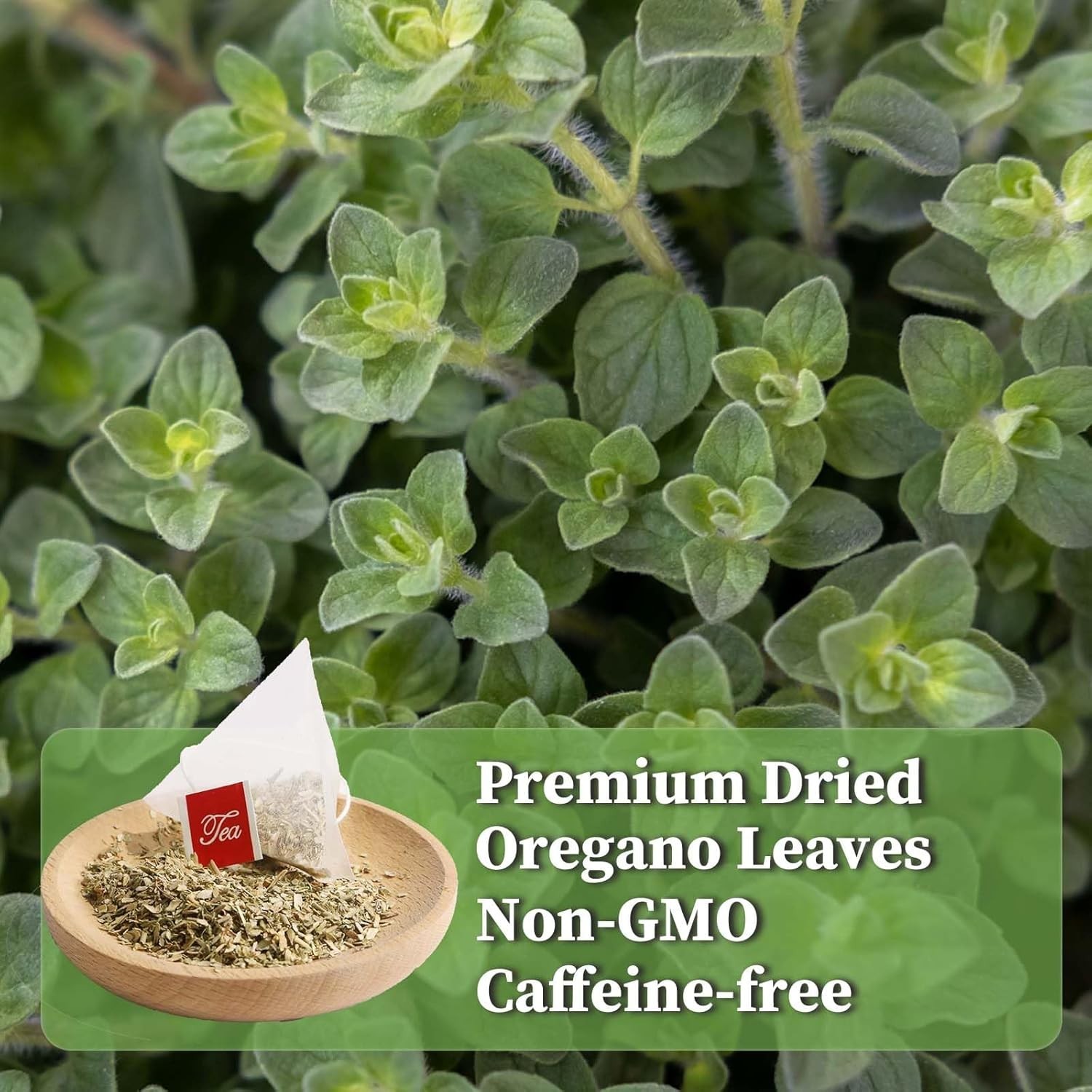 Oregano Tea Bags – 30 Count, Non-GMO, Caffeine-Free, Immune Support