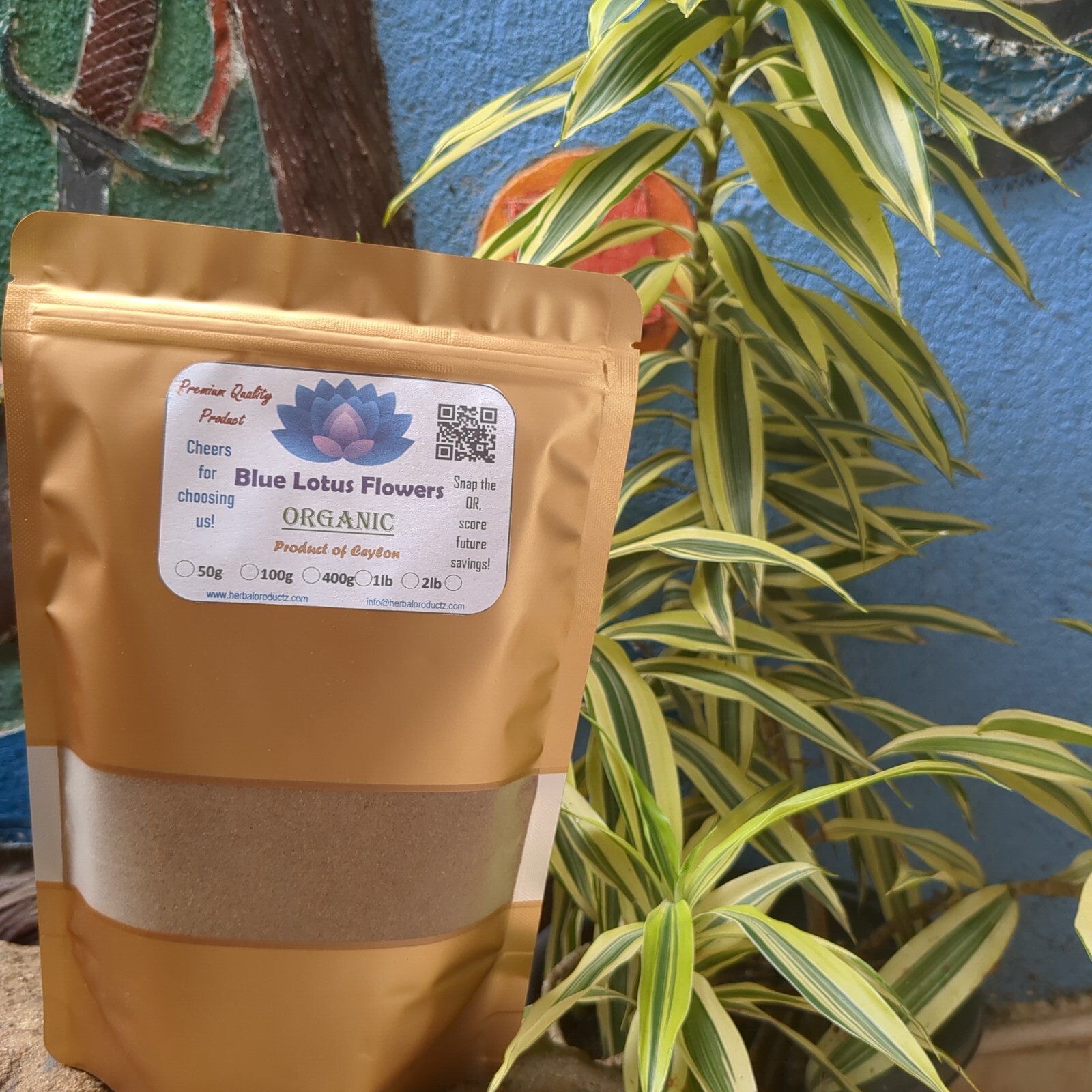 Dried Blue lotus Powder Nymphaea Caerulea Flower Organic Pure Quality Herbal Tea