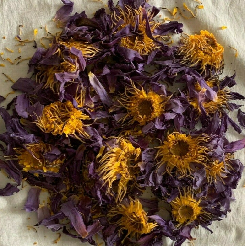 Ceylon /Sri Lanka dried blue lotus nymphaea caerulea flowers 100% organic(200 g)