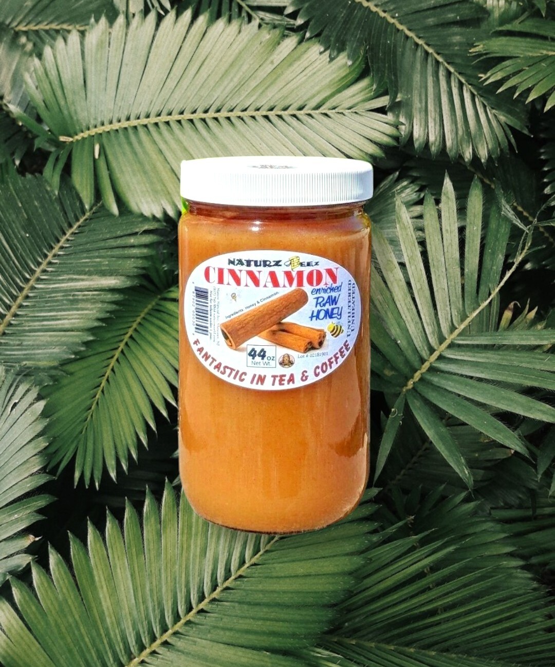 RAW HONEY and CINNAMON 2.75 Lbs / 44oz 100% PURE USA HONEY Glass Jar