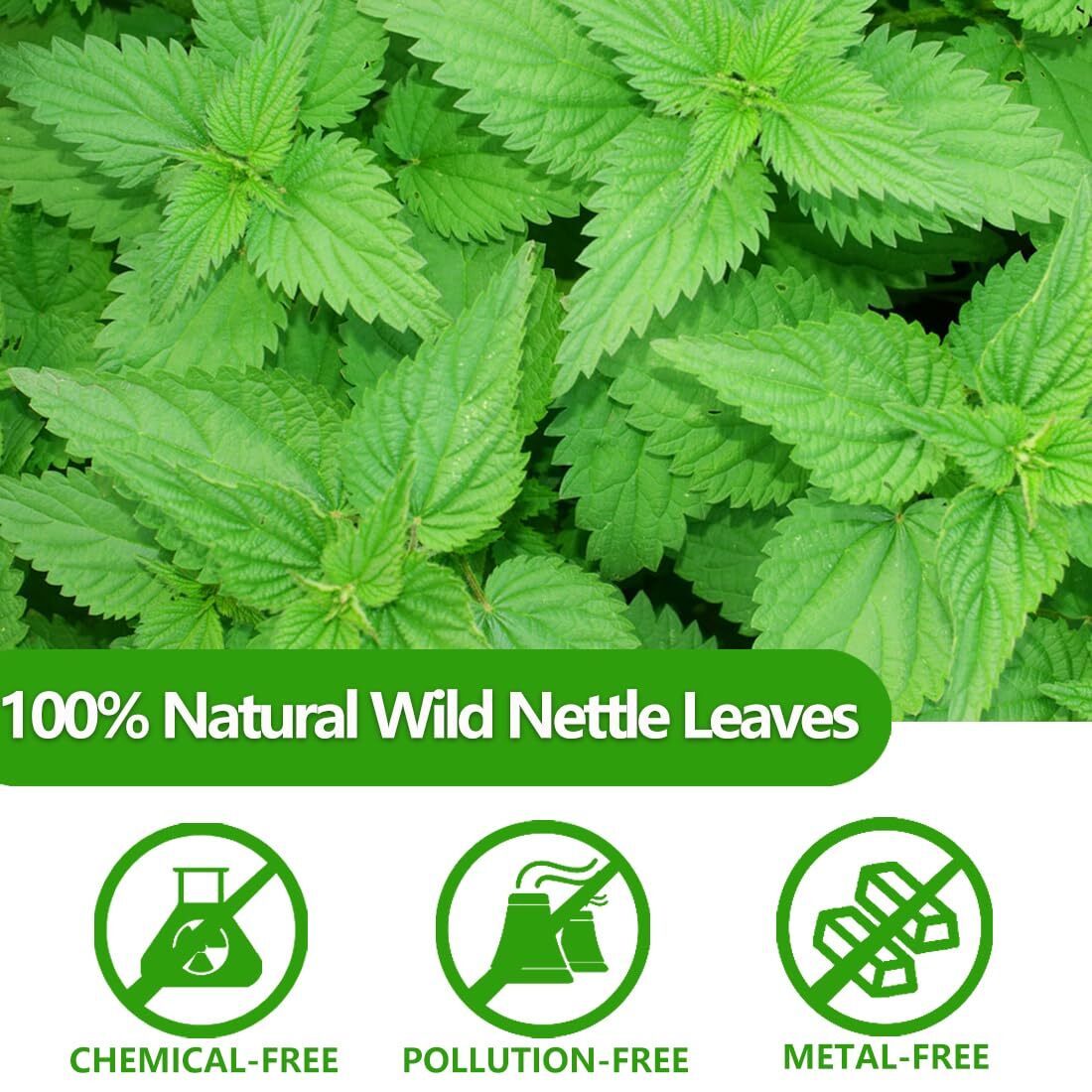 Premium 100 Stinging Nettle Leaf Tea Bags, Made with 100% Wild Nettle Leaves，…