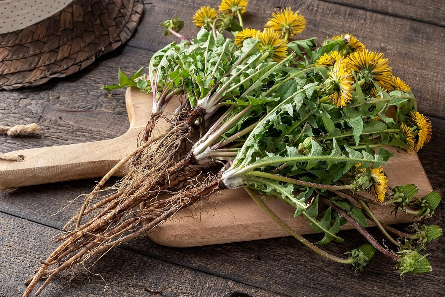 Dandelion Root Tea 1LB (16Oz) | 100% Certified Organic | Loose Dandelion Root Te