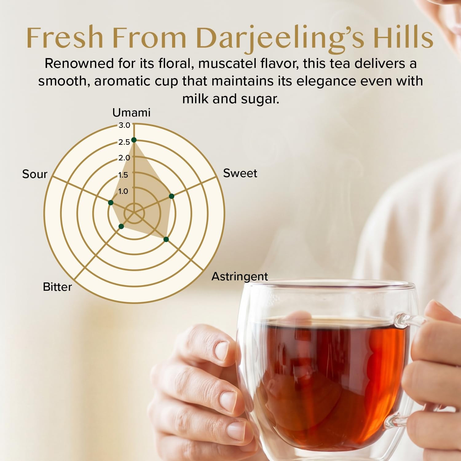 , Darjeeling Tea Leaves From Himalayas 340g (170+ Cups) Pure Unblended Darjee…