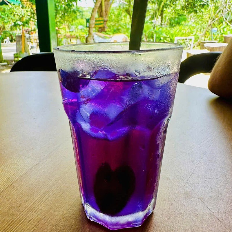 DRIED BLUE BUTTERFLY PEA FLOWER nil Katarolu Ternatea Clitoria Blue Tea Herb 50g