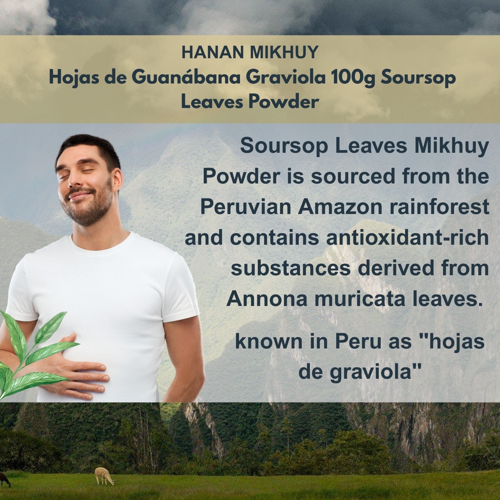 Hojas de Guanabana 100% Natural Graviola Soursop Leaf Powder for Vitality Peru