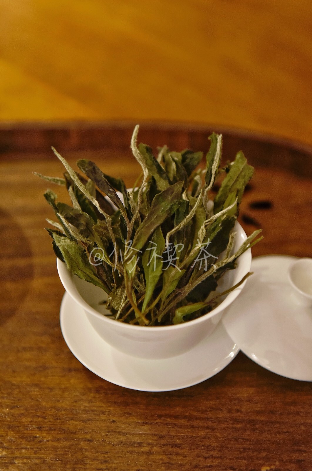 Fuding White Tea, 2023 First Spring Wild Shou Mei, 125g Bagged Chinese White Tea