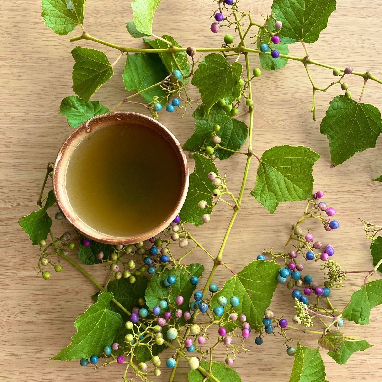 Japanese Herbal Tea by Pharmacist | Assorted 16 Herbs | Caffeine-Free each 10g