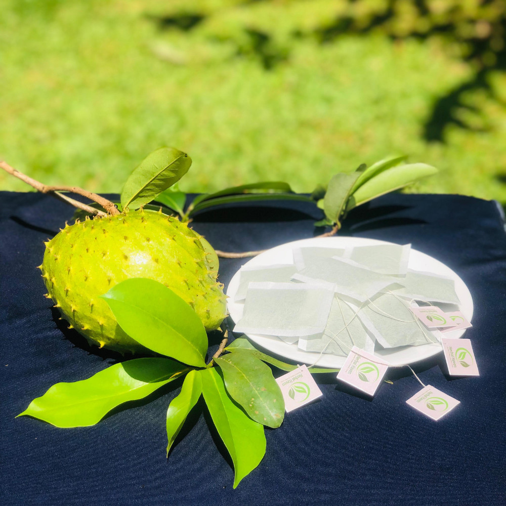 Dried Organic Soursop Leaves Herbal Tea Bags Guanabana Graviola Annona Muricata