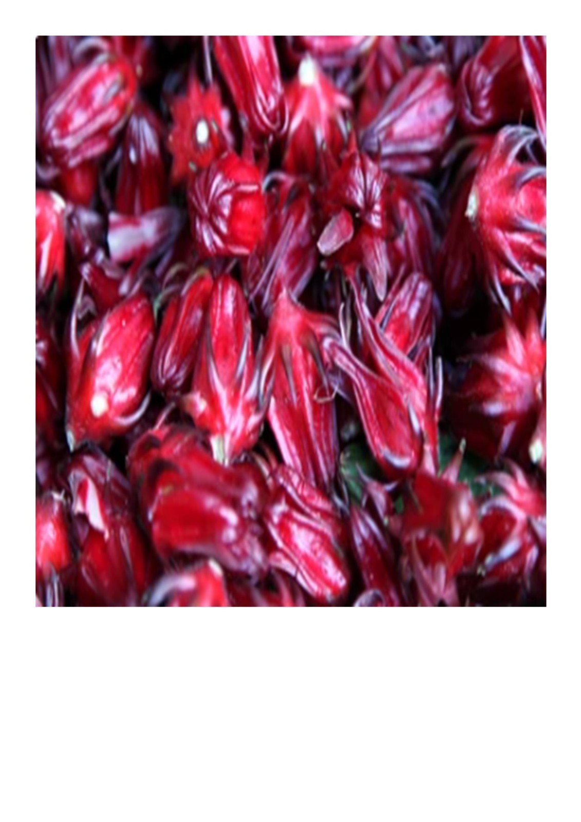 Caribbean Dreams 100% Natural Dried Sorrel (Flor de Jamaica) 100g