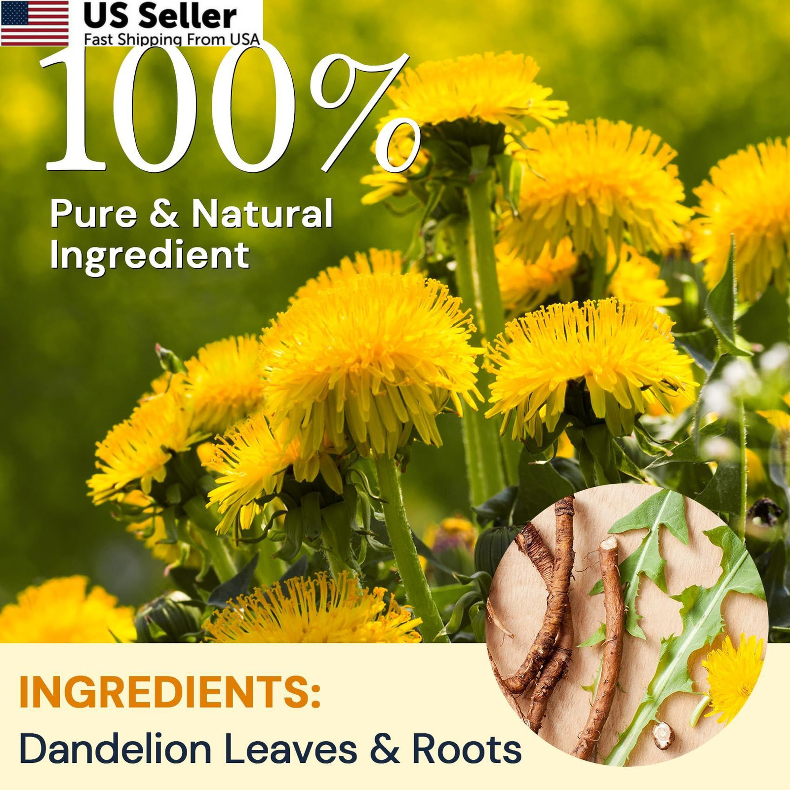 Dandelion Leaf & Root Herbal Tea-Caffeine-free, 50 Teabags 50 Count