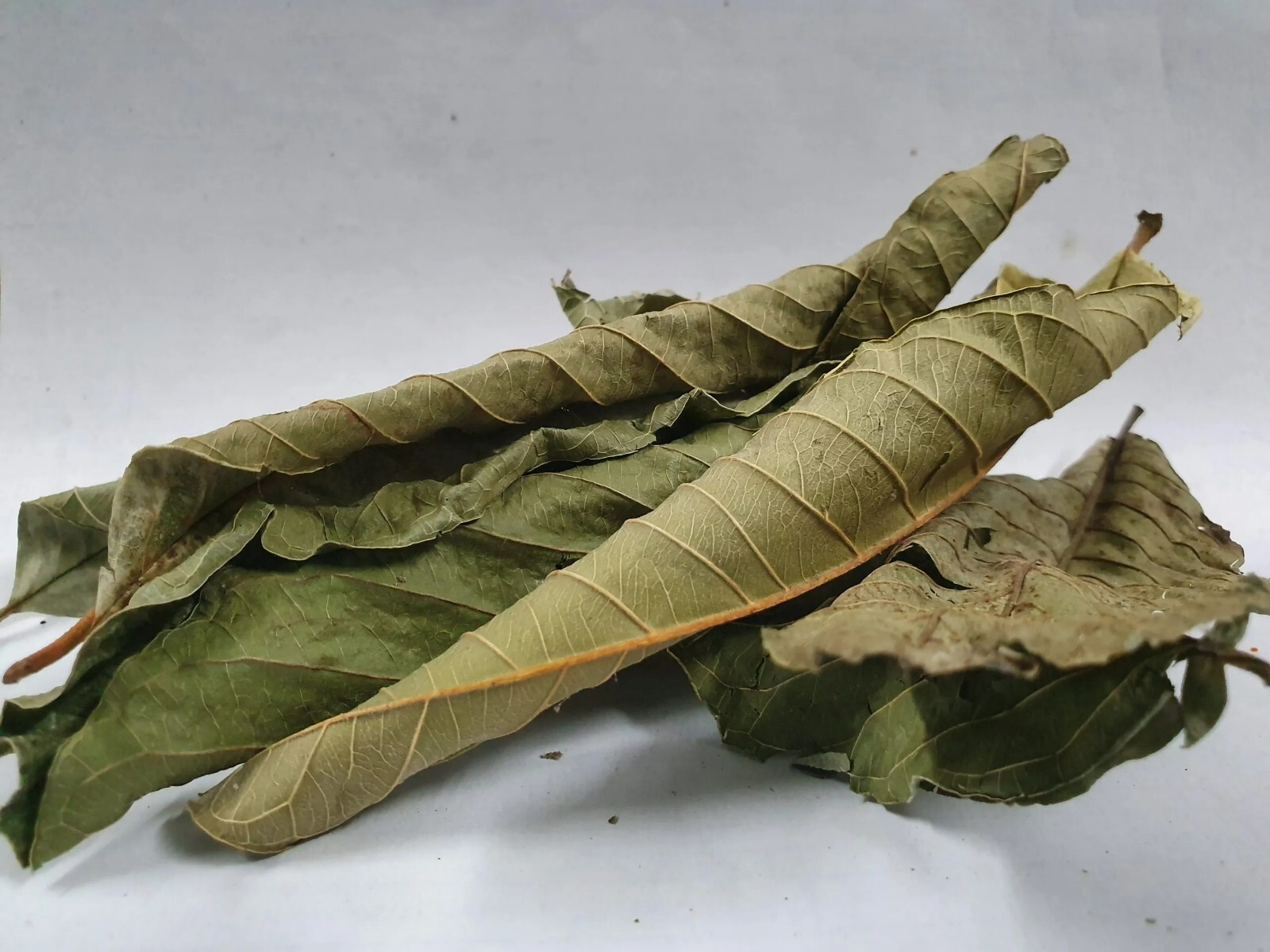 Dried Guava Leaves, Hojas de Guayaba, Loose Guava Leaf Tea 2 oz and 4 oz