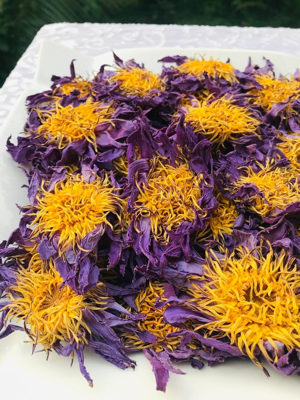 Ceylon Blue Lotus 2 Lb Nymphaea Caerulea 100% Hand Picked Flowers Herbal Tea