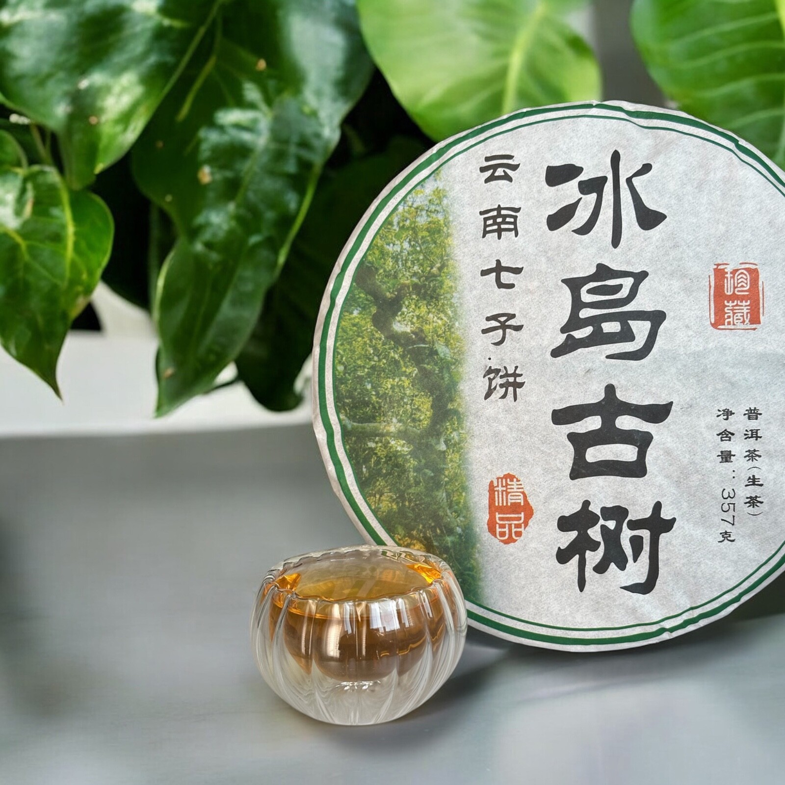 Golden Sip 2019 Raw Tea Cake Shen Puerh Tea Ancient Tree Unfermented Puer