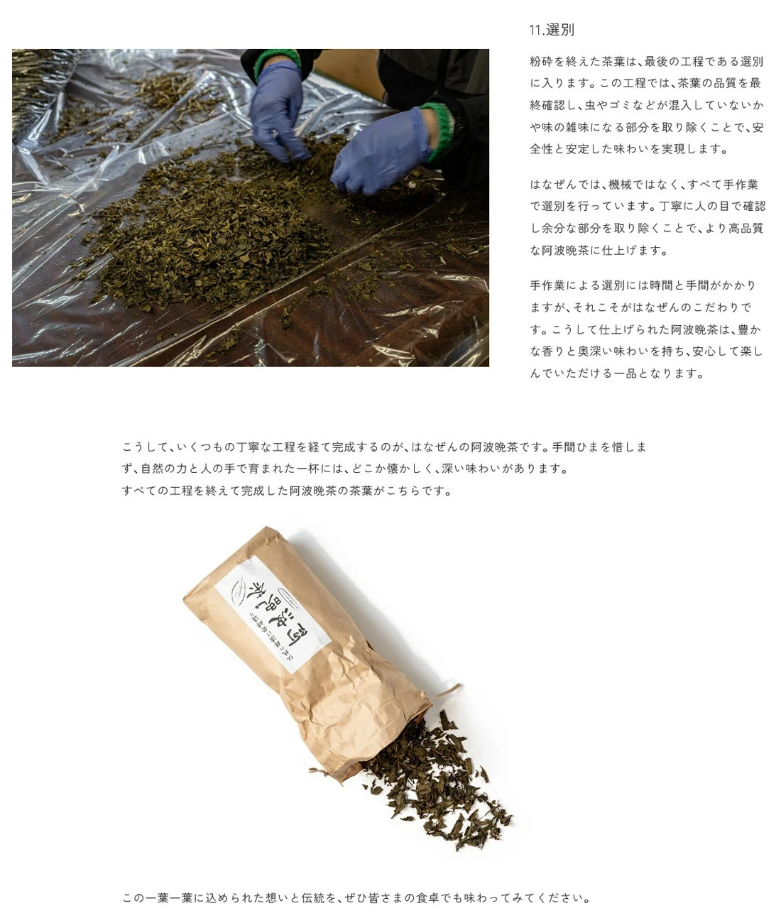 Awa Bancha Tea Bags 12 Pack Japanese Post-Fermented Tea, Lactic Acid Fermented