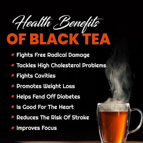 Ceylon Black Tea Thalawakelle Pure Natural Premium BOPF Bulk Powder 500g/17.6oz