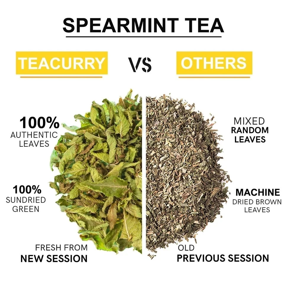 TEACURRY Spearmint Leaf Tea 30 Herbal Tea Bag x 2 Pack Free Shipping World Wide