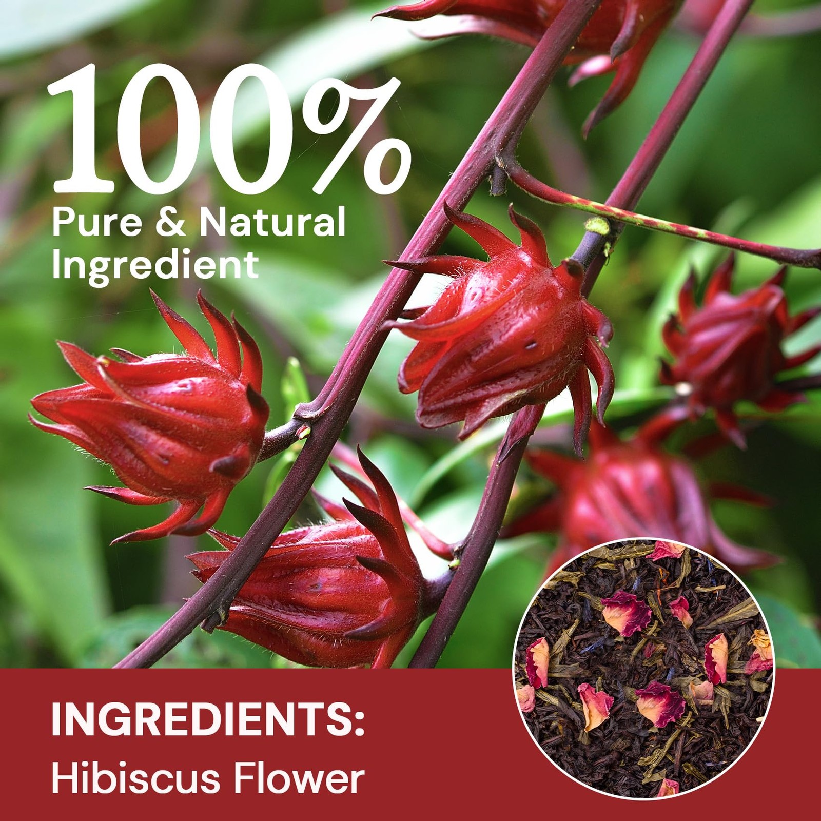 Hibiscus Tea Bags, Hibiscus Flower Herbal Tea Caffeine & Sugar Free, 50 Teabags