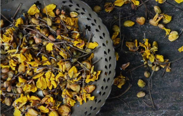 Ranawara Dried Flower Ayurvedic Herbal Natural Drink Cassia Auriculata Avarampoo