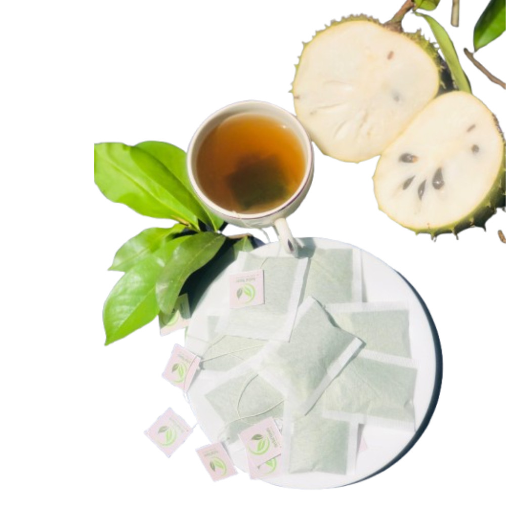 Dried Organic Soursop Leaves Herbal Tea Bags Guanabana Graviola Annona Muricata
