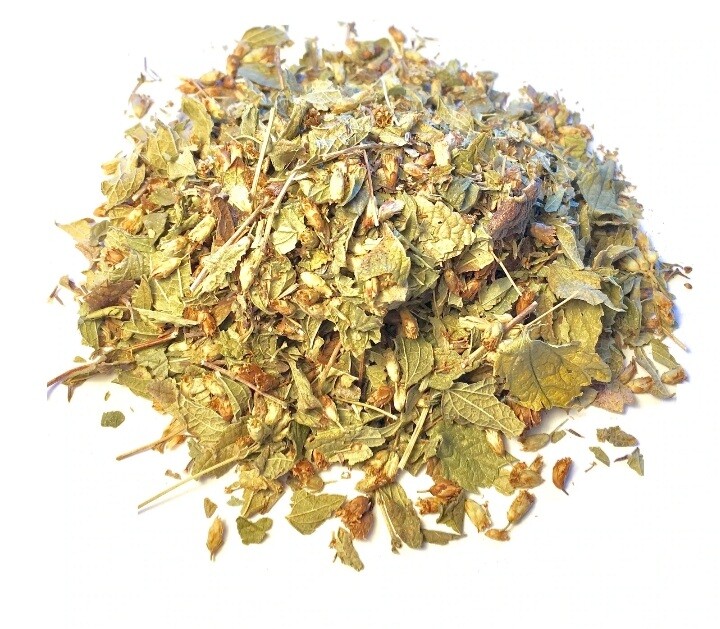 Mexican Dream Calea zacatechichi Natural Dried Organic Healthy Herbal Tea