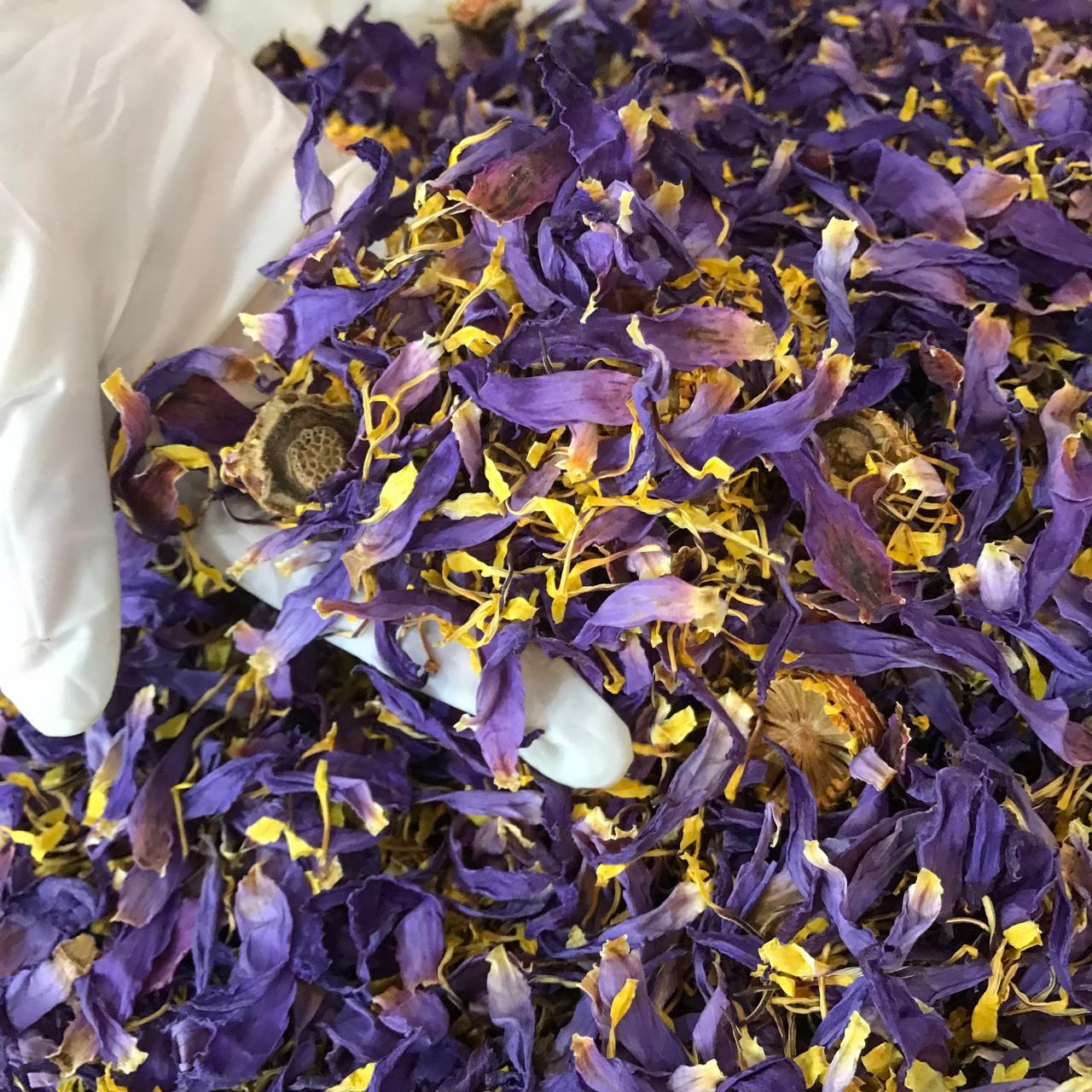 Ceylon Blue Lotus Flower Nymphaea Caerulea Dried Organic Flowers Egyptian Tea