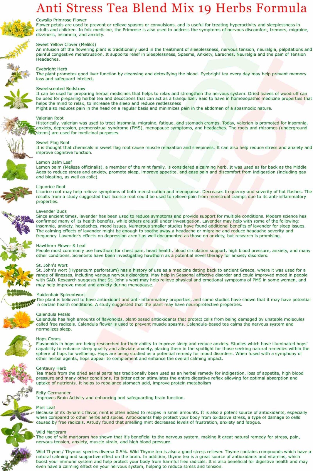 CALM & SLEEP TEA 19 Herbs Anti Stress Formula Best Relaxing & Calming Tea Blend