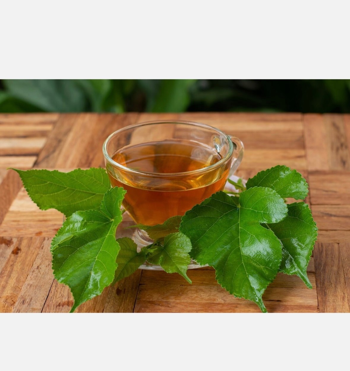 Dried Mulberry Leaf Tea – 20 Grams – 20 Servings