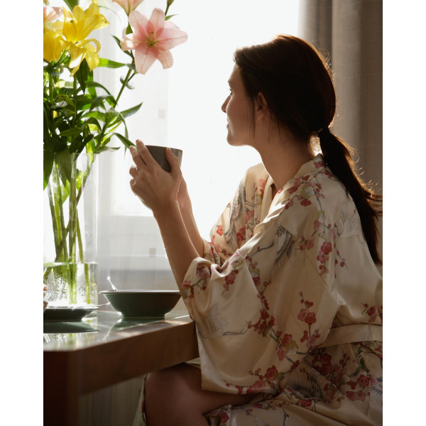 Organic Blood LifeBoost® Tea [28 Tea Bags] SpeedyVite®