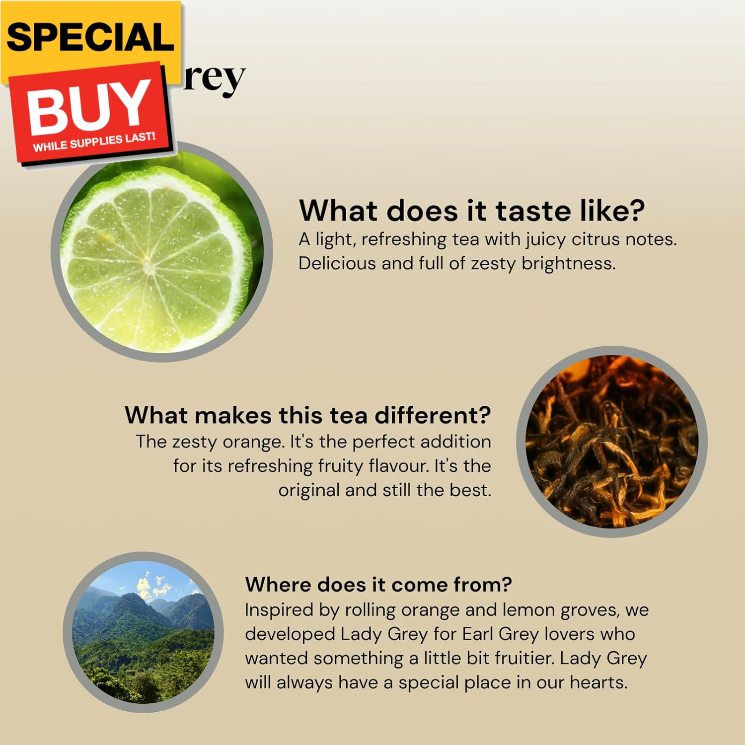 Lady Grey Tea | Bright & Refreshing Black Tea with Zesty Orange | 40 Biodegradab