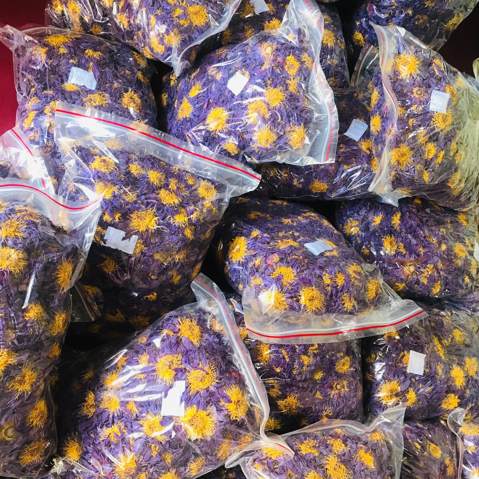 Ceylon Sacred Blue Lotus Nymphaea Caerulea Hand Picked Pure Organic Flowers Tea