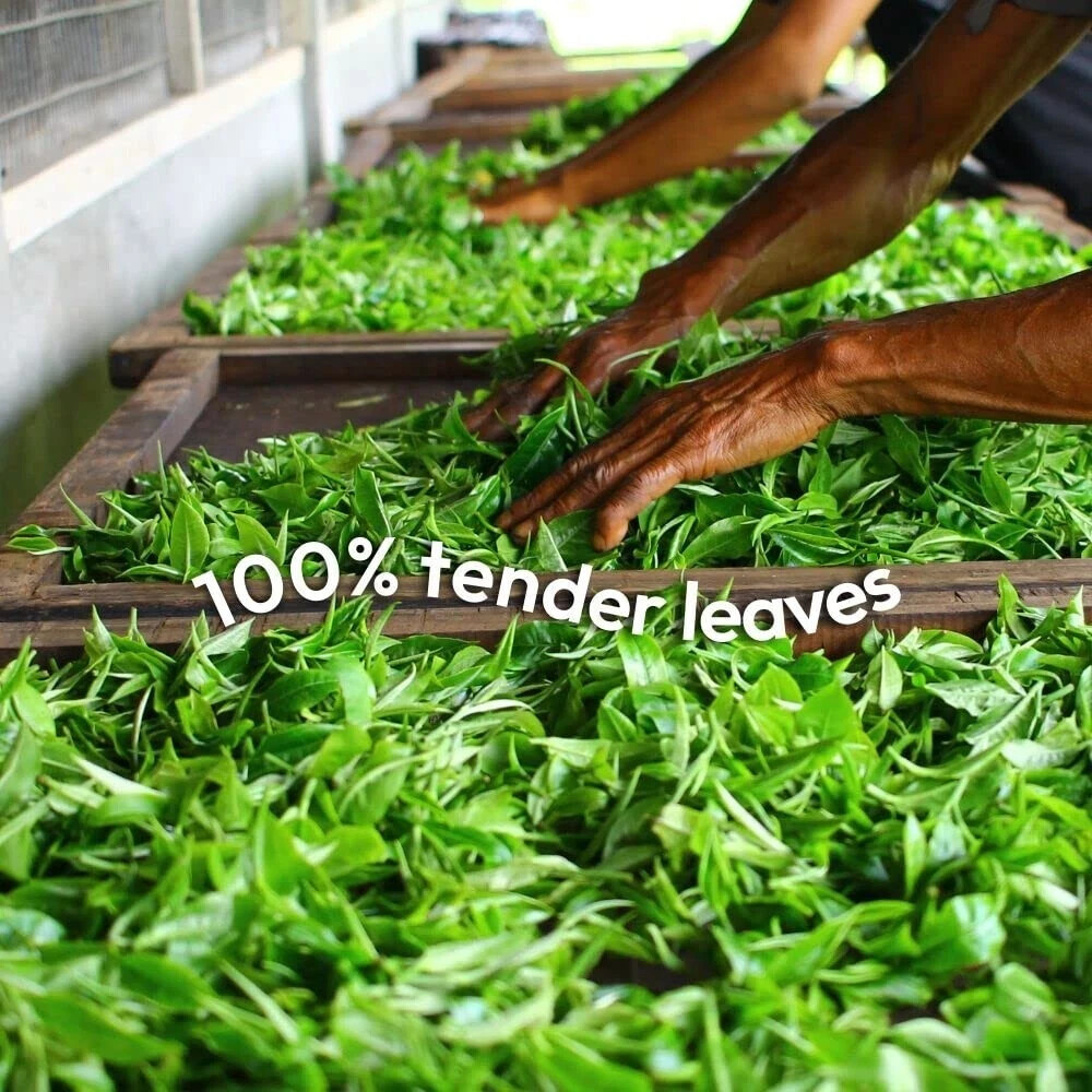 Woolah Rare Assam Black Tulsi Tea 15 pcs (30 Cups) 30g Free Shipping World Wide