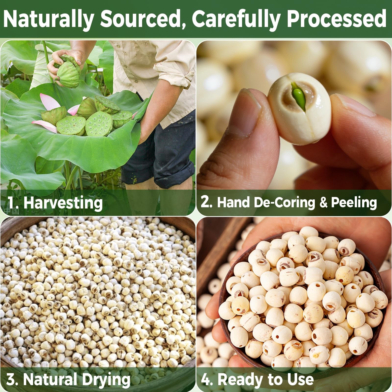 15oz Natural Dried Lotus Seeds, 425g Pure White Lotus Seed, Peeled & De-cored…