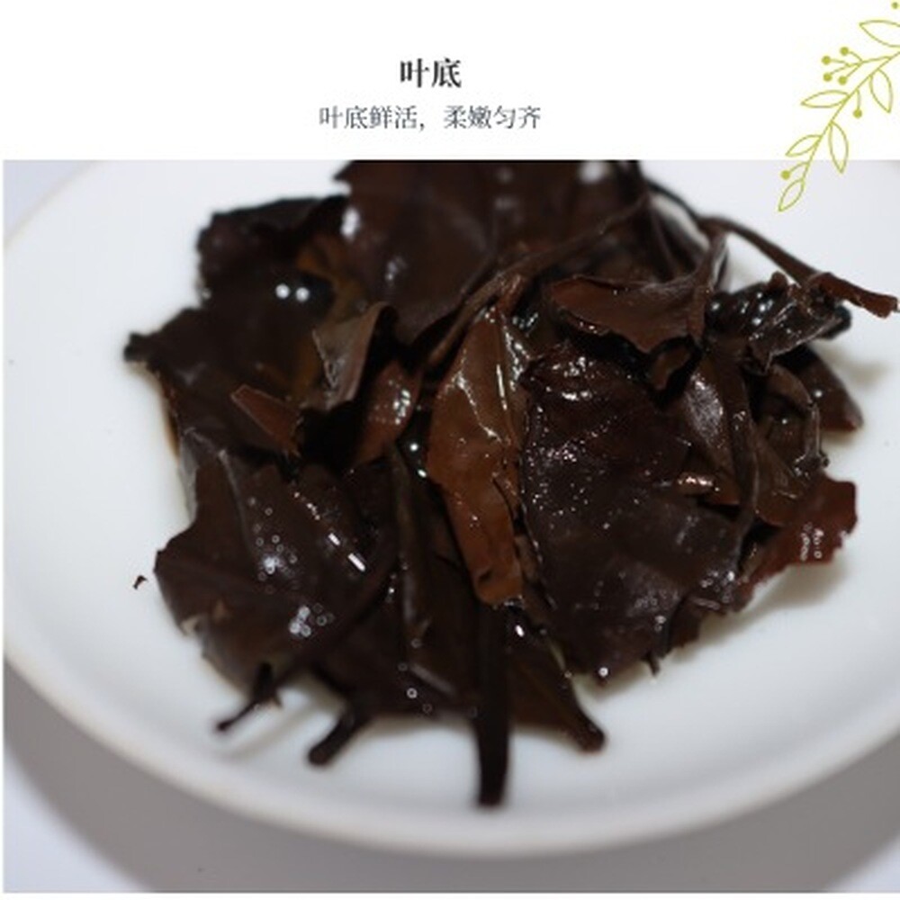 300g Fuding Shoumei Bai Mu Dan White Tea Cake Natural Herbal Detox
