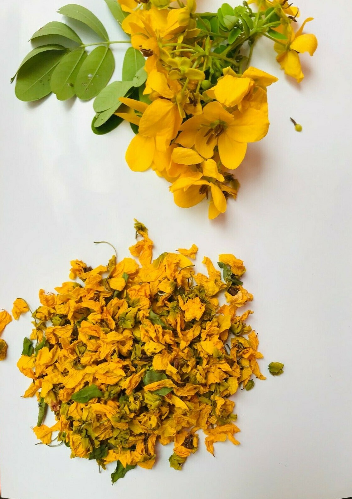 RANAWARA MAL Natural HERBAL Flower CASSIA AURICULATA 100% CEYLON Ayurveda 200g