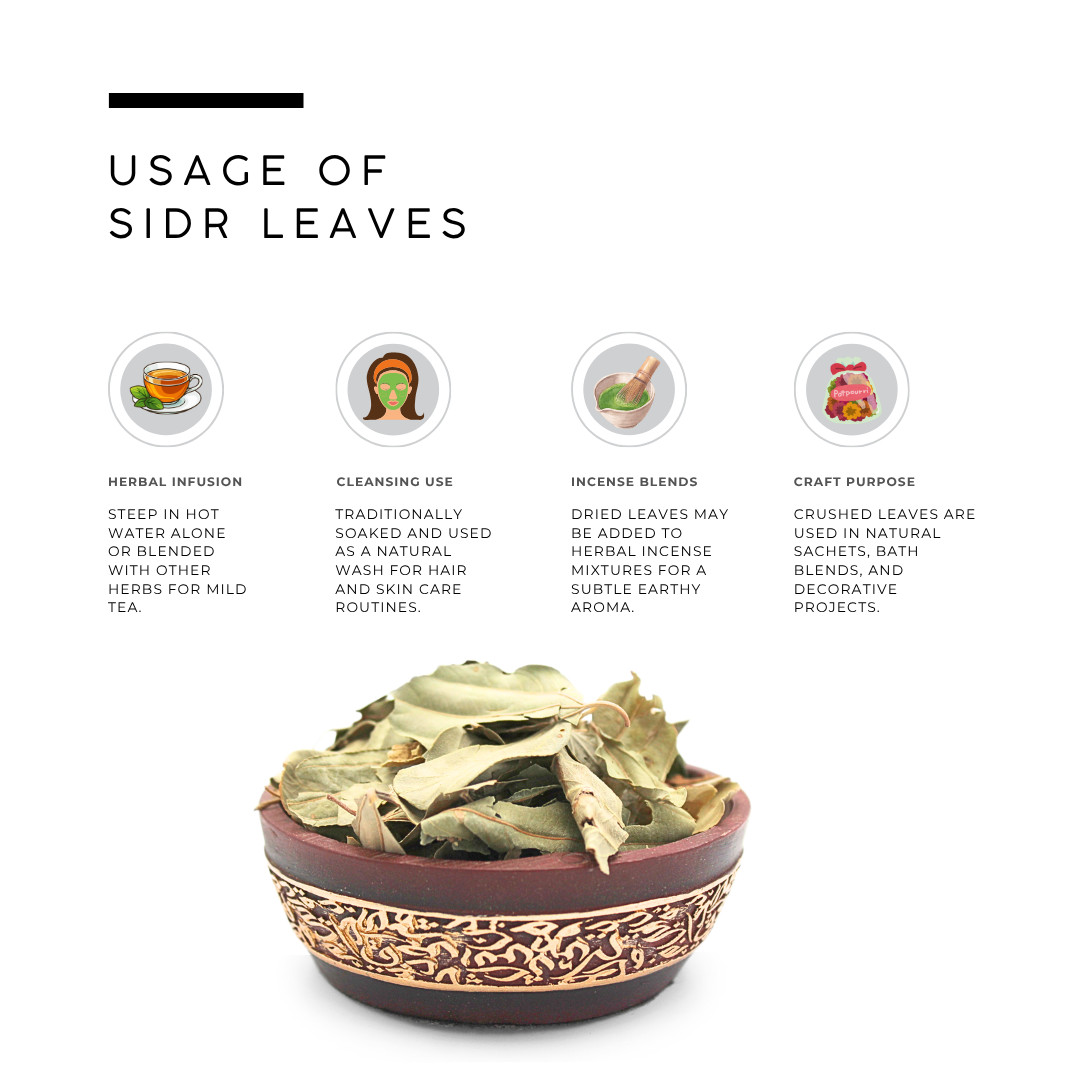 AWAFI MILL Sidr Leaves (Ziziphus spina-christi) – 250 g | 9 Oz