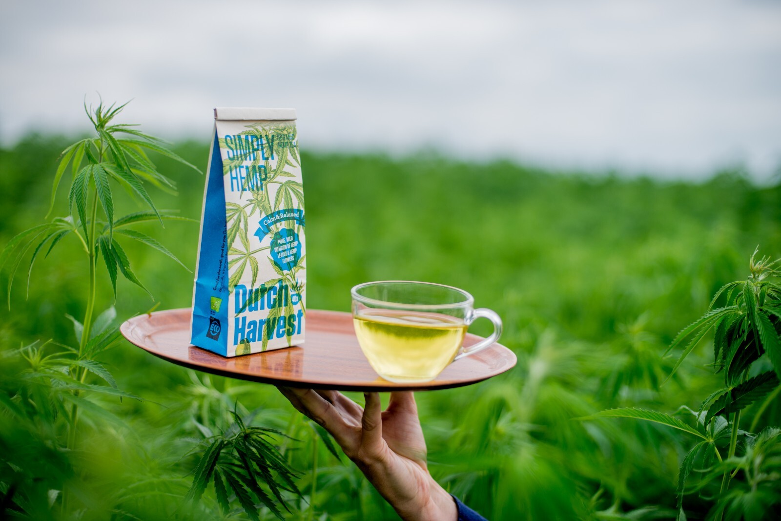 Dutch Harvest – Simply Hemp – Pure hemp tea for ultimate relaxation – Organic 