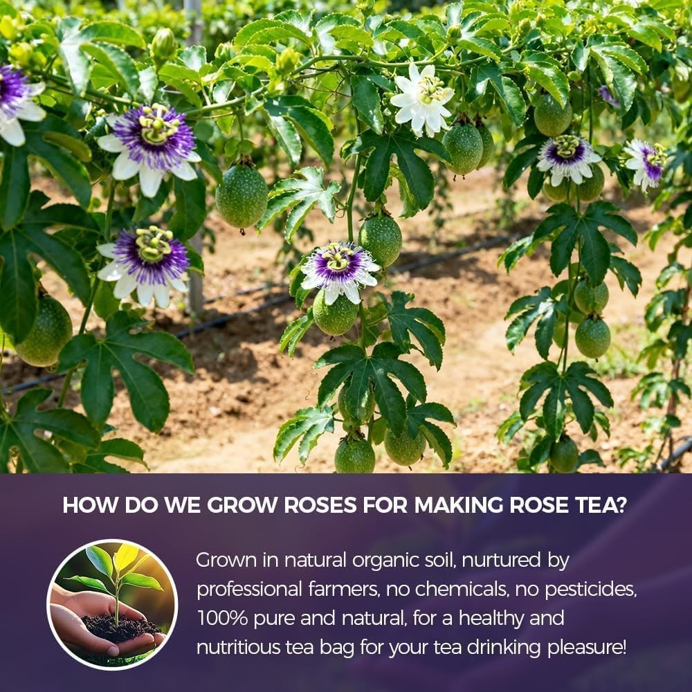 55 Count Premium Passion Flower Tea Bags 100% Natural & Pure, Supports Relax…
