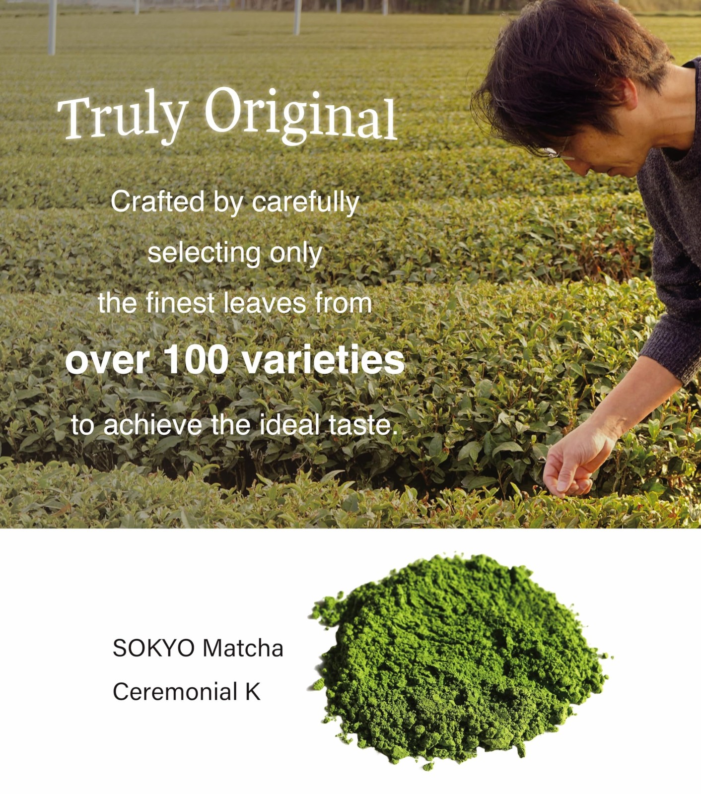 ceremonial matcha powder series powdered green tea Japanese matcha (3.52oz / …