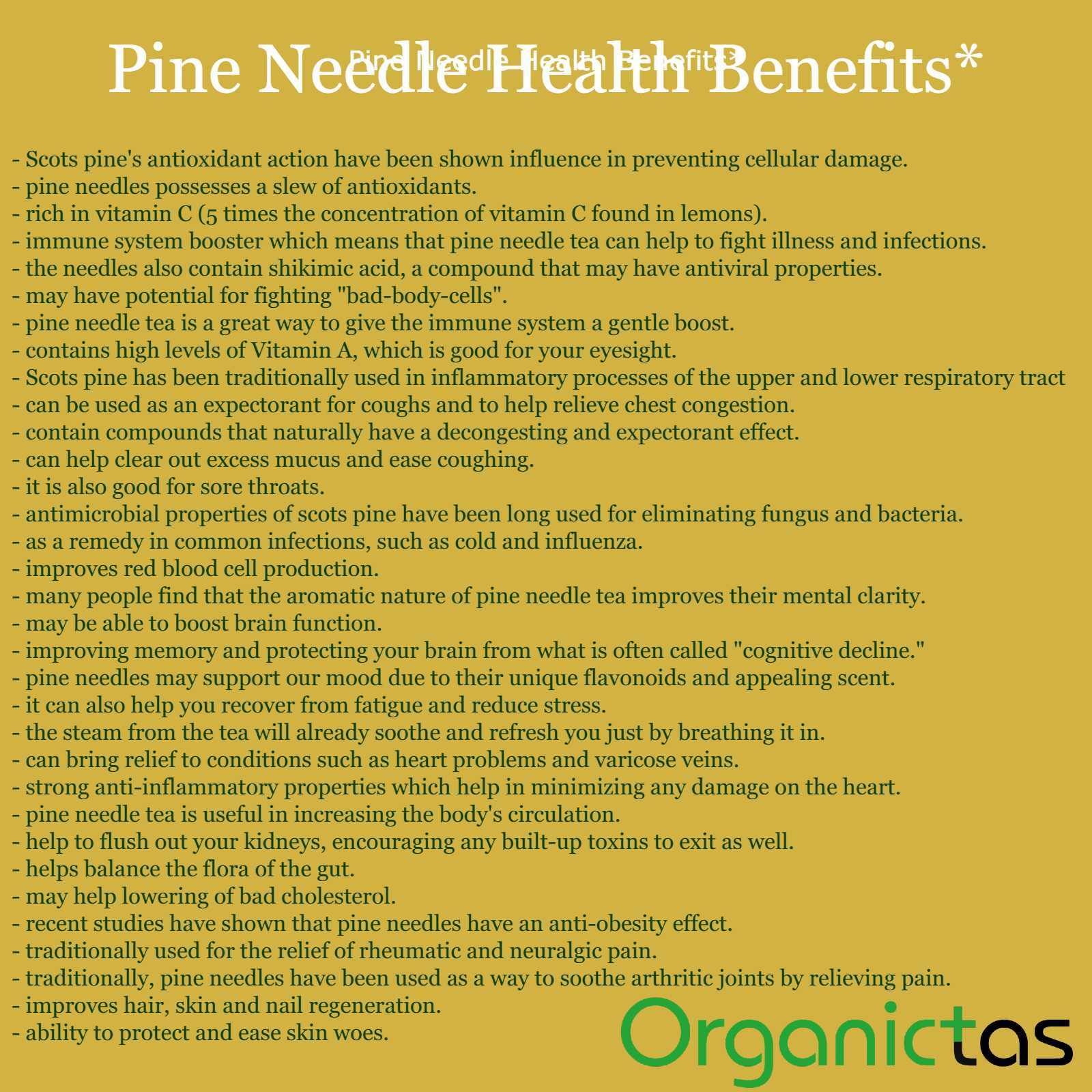 Pine Needle Tea 100g Natural Wild Picked Scots Scotch Pine Premium Quality