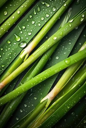 Organic Lemongrass Tea 1 LB | Cut & Sifted Loose Leaf | Aromatic Herbal Seasonin