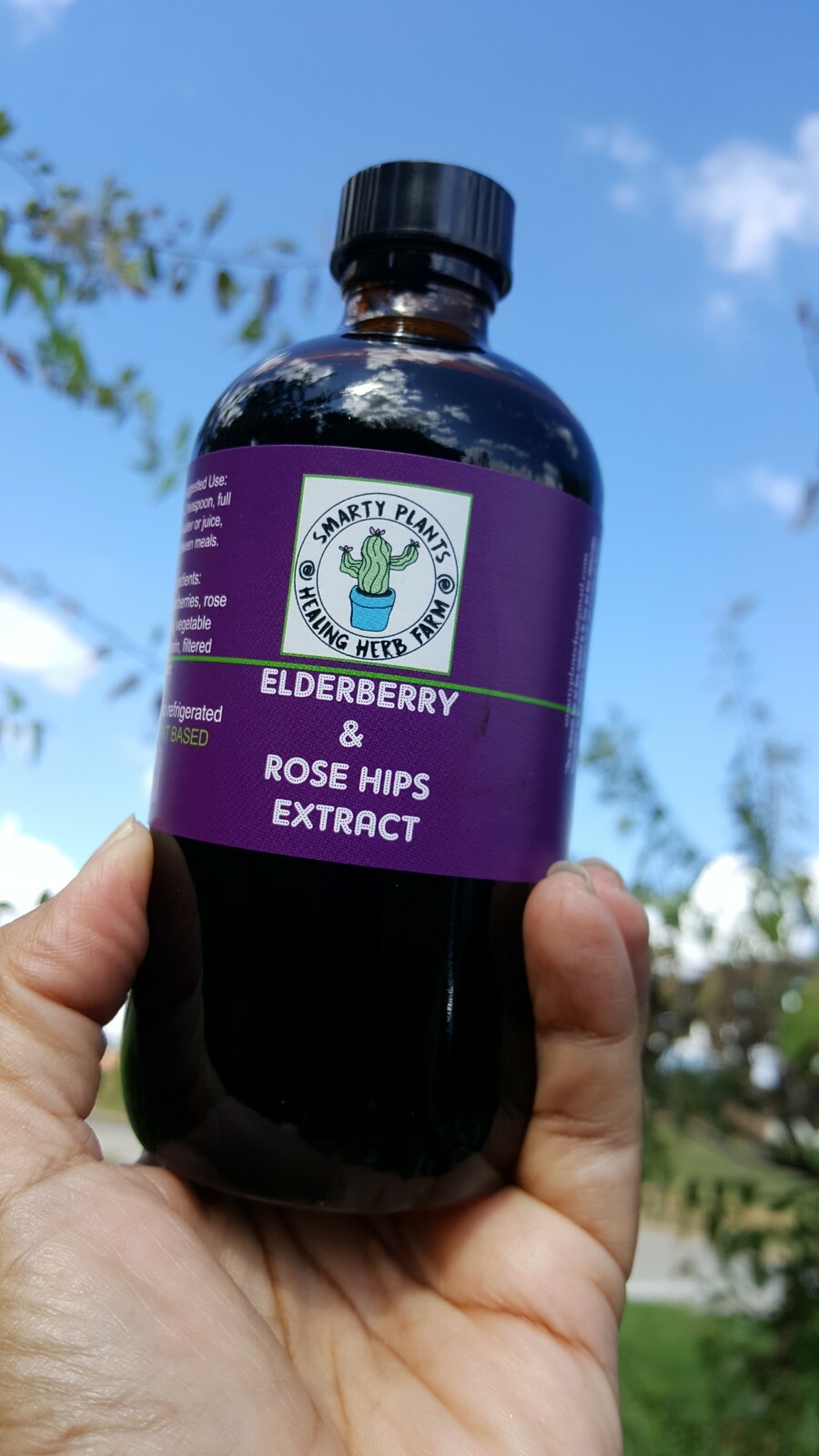 Organic Elderberry & Rosehip 8 oz. amber glass bottle Extract Tincture