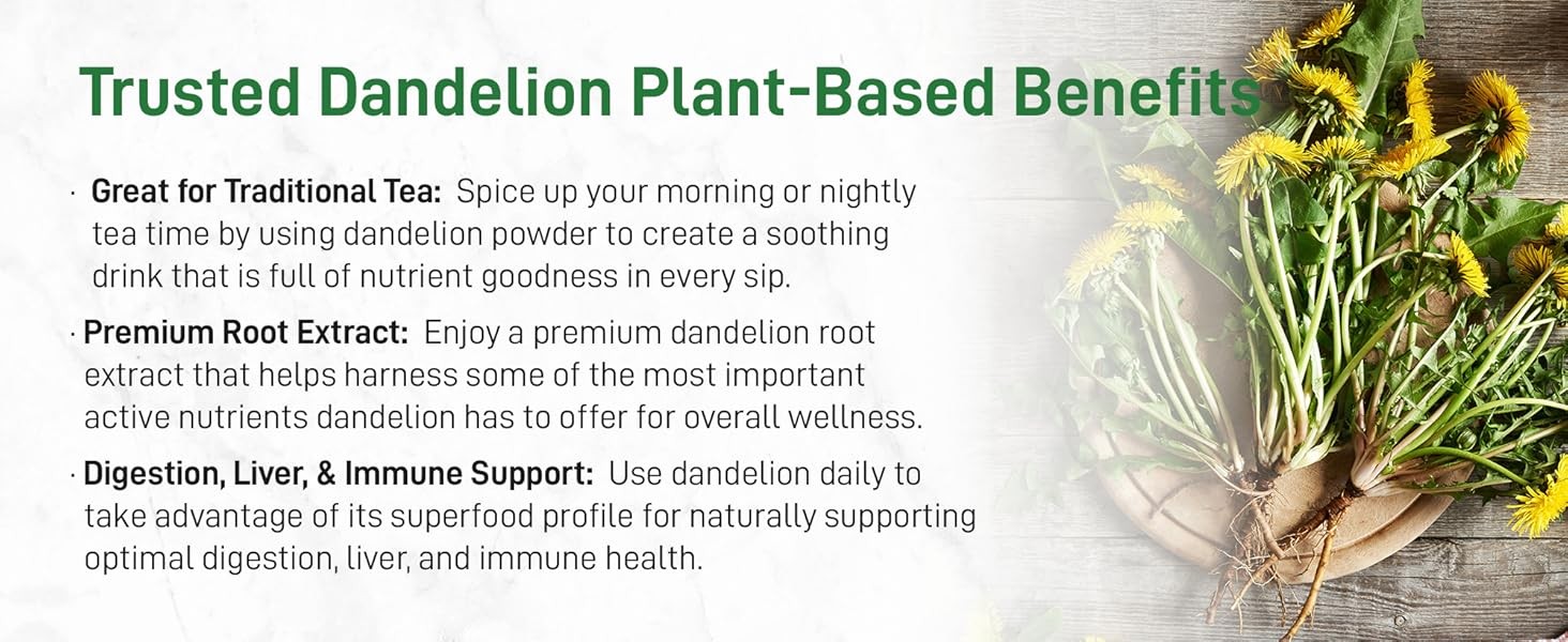 Organic Dandelion Root Tea Powder, 8oz | Up to 220 Servings | Premium
