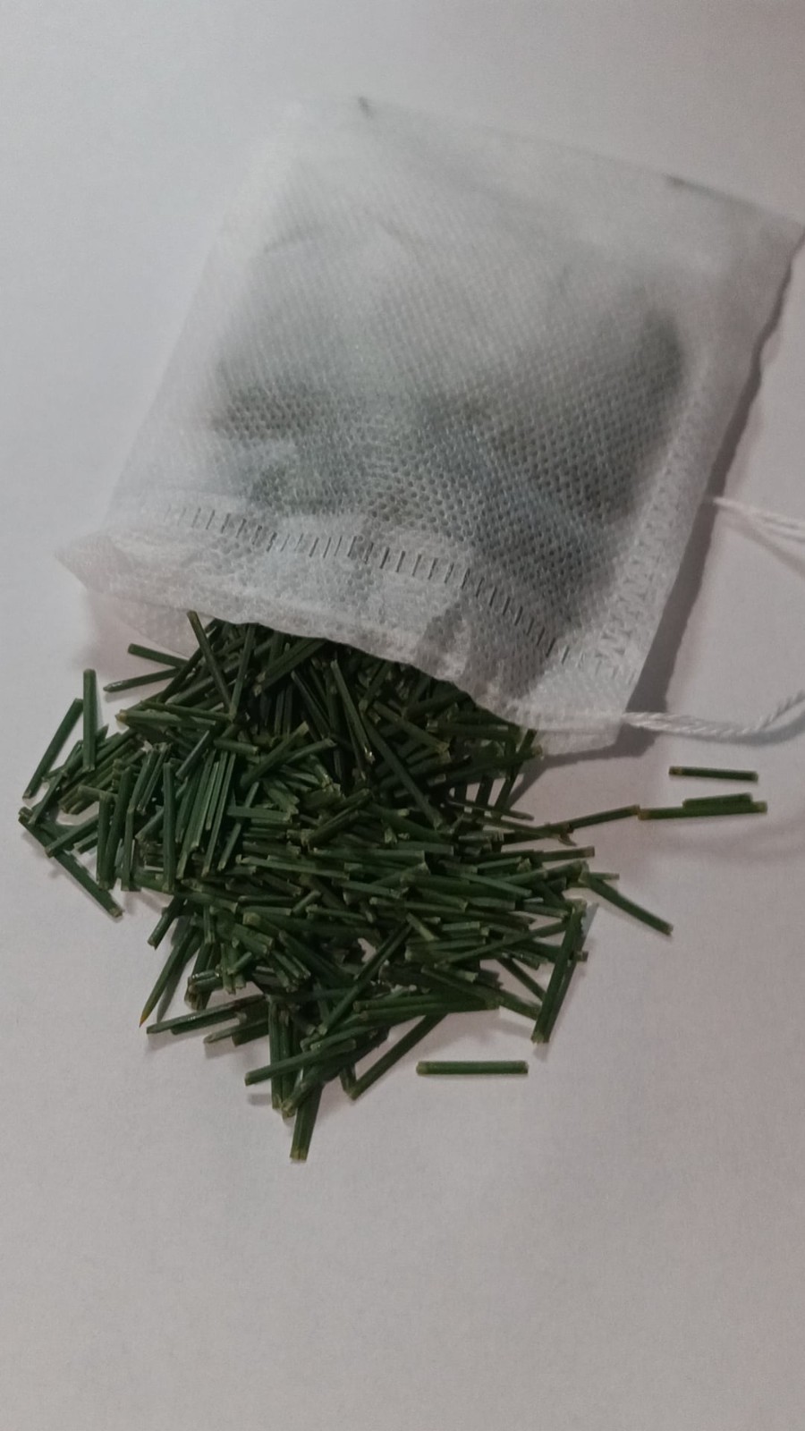 White Pine Needle Tea 31 Large Bags Organic & Fresh From Oregon! Go Ducks!