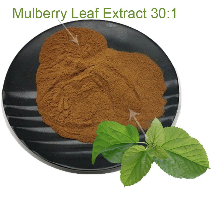 100g-500g Mulberry leaf Extract 30:1 Powder Folium Mori Morus Alba Leaf Extract