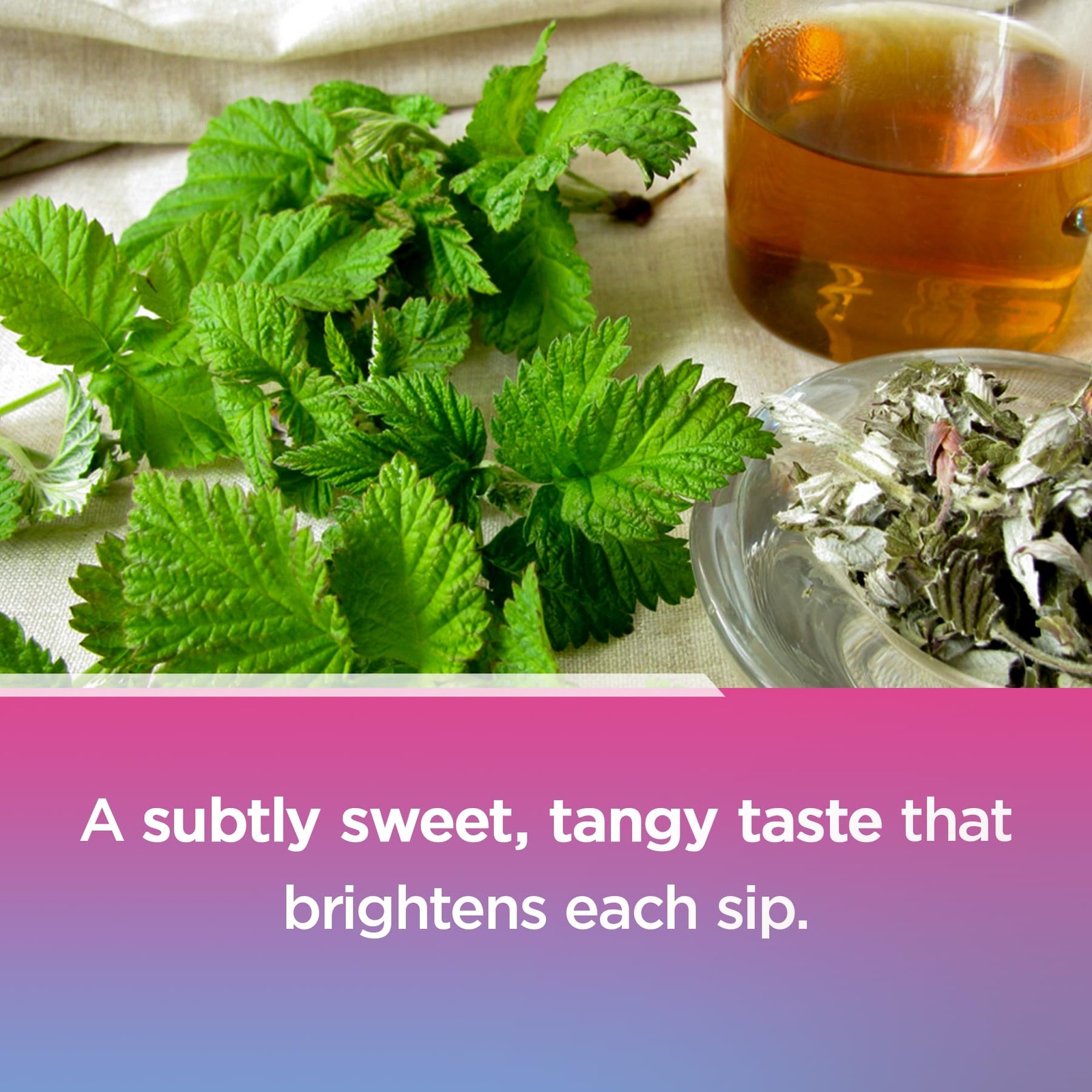 Natural Pregnancy Fertility Tea for Ovulation & TTC, Organic Pregnancy Tea fo…