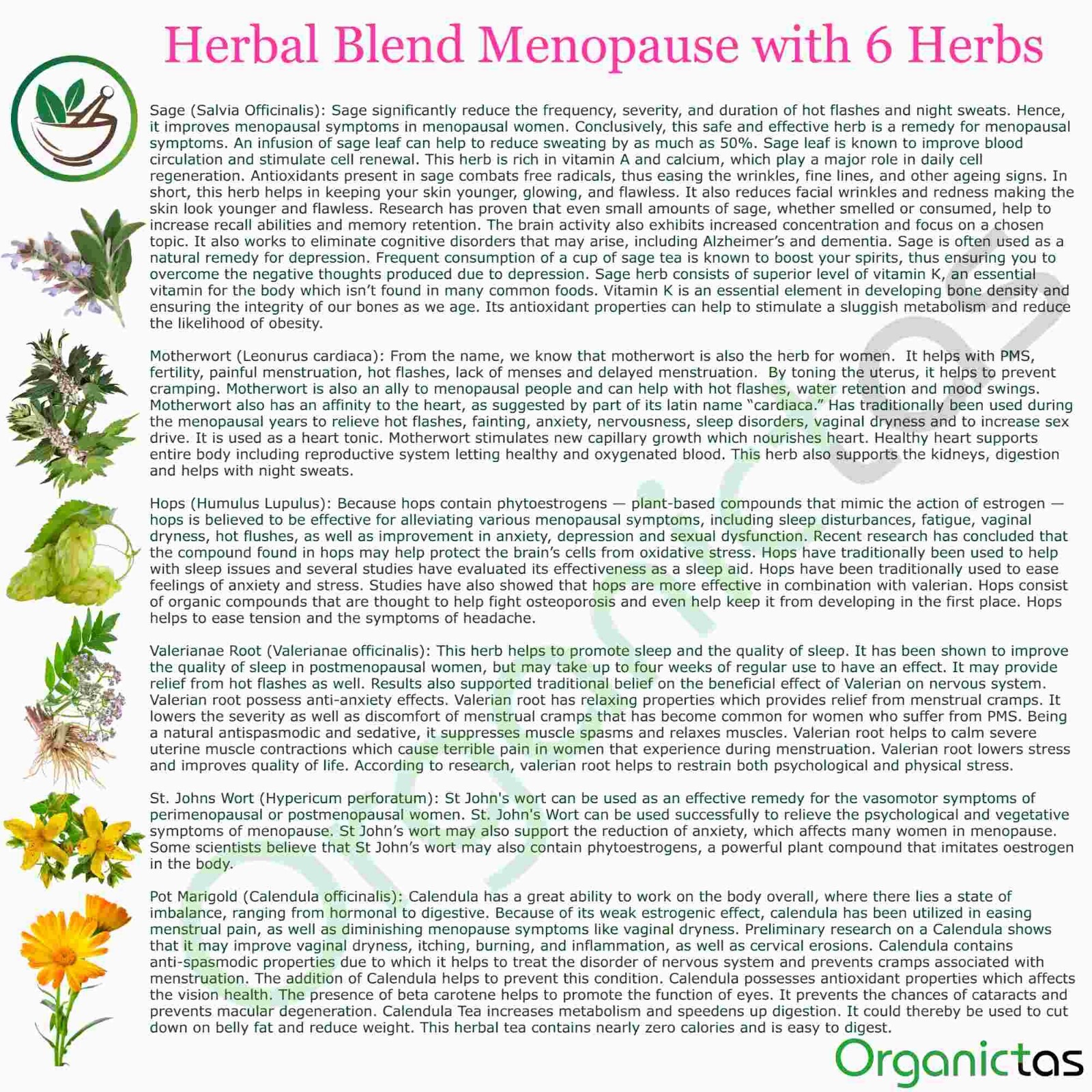 MENOPAUSE RELIEF TEA – 6 Herbs Herbal Tea Menopausal Climacterium Support 100 g