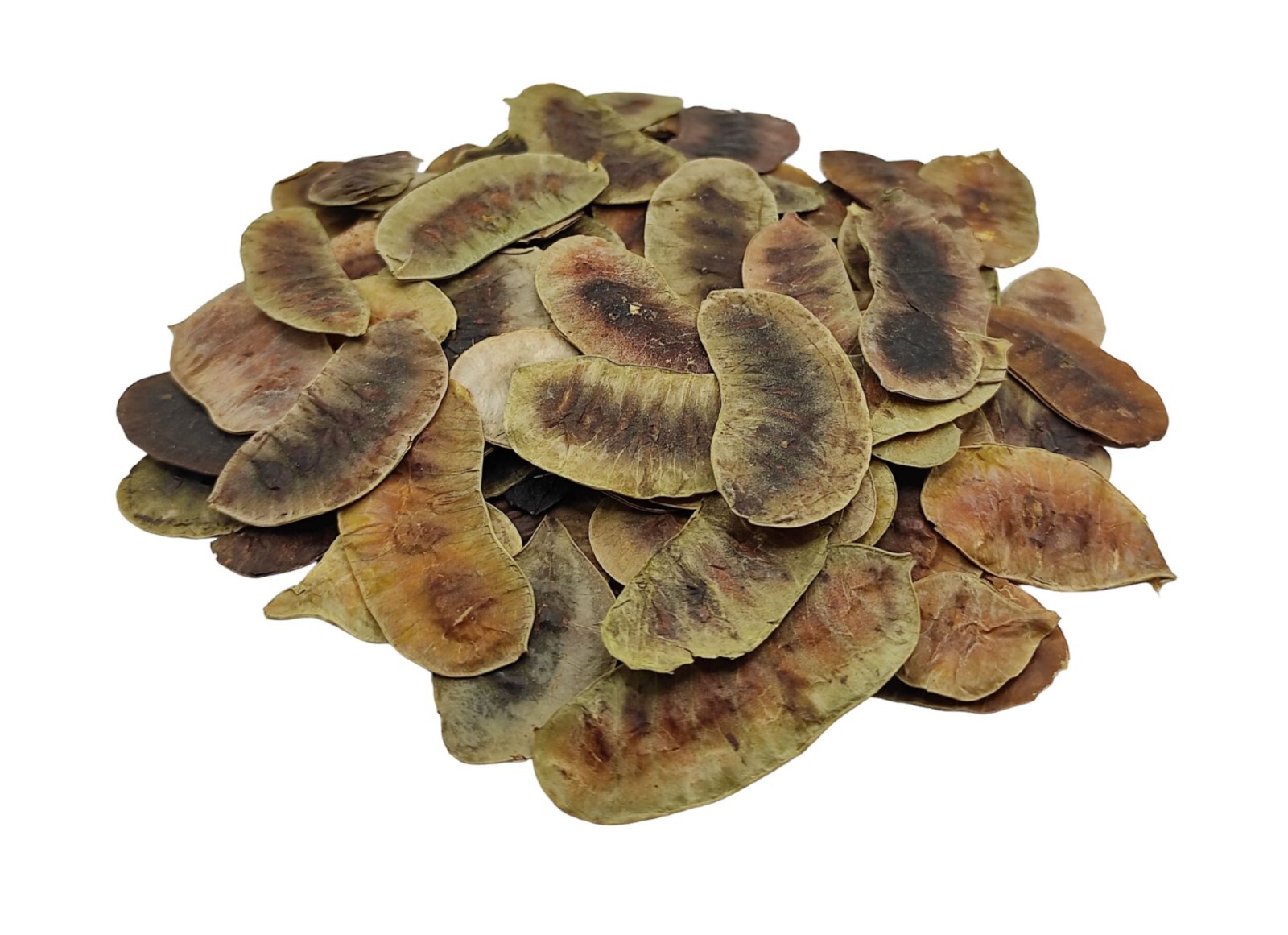 Dried Senna Pods Herbal Tea 220 g (7.8oz) – Premium Quality | Senna Alexandrina